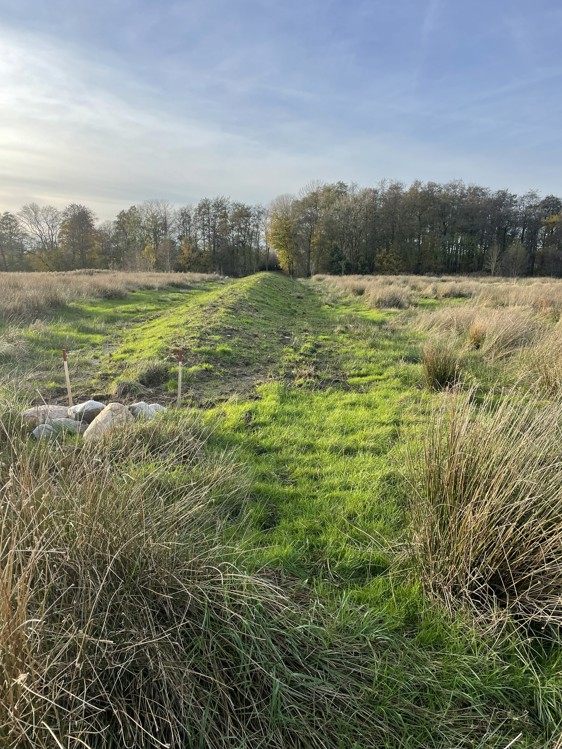 Dige i Fole mod vest